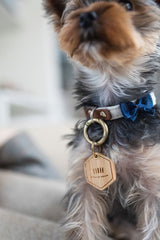 DOG ID TAG