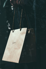 Carry bag for photo panel