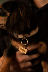 DOG ID TAG
