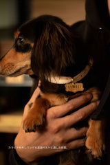 DOG ID TAG