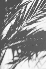 SHADOW