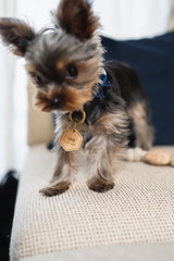 DOG ID TAG