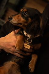 DOG ID TAG